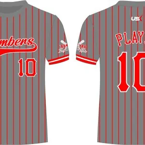 Bombers Dri Fit Shirt Grey
